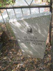 Лауфер Мишулин Айзикович, Самара, Центральное еврейское кладбище