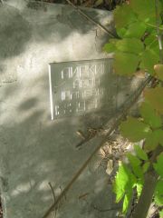 Липкин Арон Юльевич, Самара, Центральное еврейское кладбище