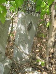 Птак Зинаида Ароновна, Самара, Центральное еврейское кладбище