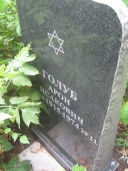Голуб Арон Исакович, Самара, Центральное еврейское кладбище