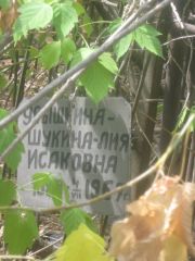 Усышкина-Шукина Лия Исаковна, Самара, Центральное еврейское кладбище