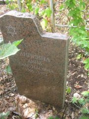 Липкина Дина Самуиловна, Самара, Центральное еврейское кладбище