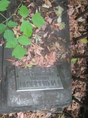 Гиршовский Михаил Михайлович, Самара, Центральное еврейское кладбище