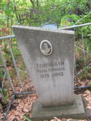 Тененбаум Фаина Хаимовна, Самара, Центральное еврейское кладбище
