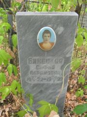 Бинецкая Софья Абрамовна, Самара, Центральное еврейское кладбище