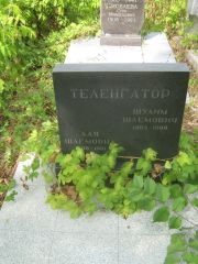 Теленгатор Хая Шлемовна, Самара, Центральное еврейское кладбище