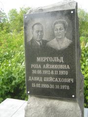 Мергольд Давид Пейсахович, Самара, Центральное еврейское кладбище