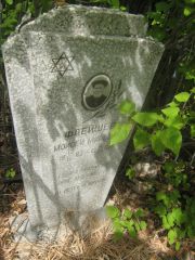 Флейшер Моисей Миронович, Самара, Центральное еврейское кладбище