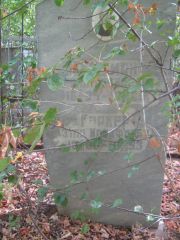 Каркер Этля Иосифовна, Самара, Центральное еврейское кладбище