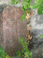 Школьник Симон Янкелевич, Самара, Центральное еврейское кладбище