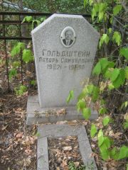 Гольдштейн Лазарь Самуилович, Самара, Центральное еврейское кладбище