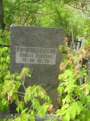 Кочубеевский Давыд Львович, Самара, Центральное еврейское кладбище