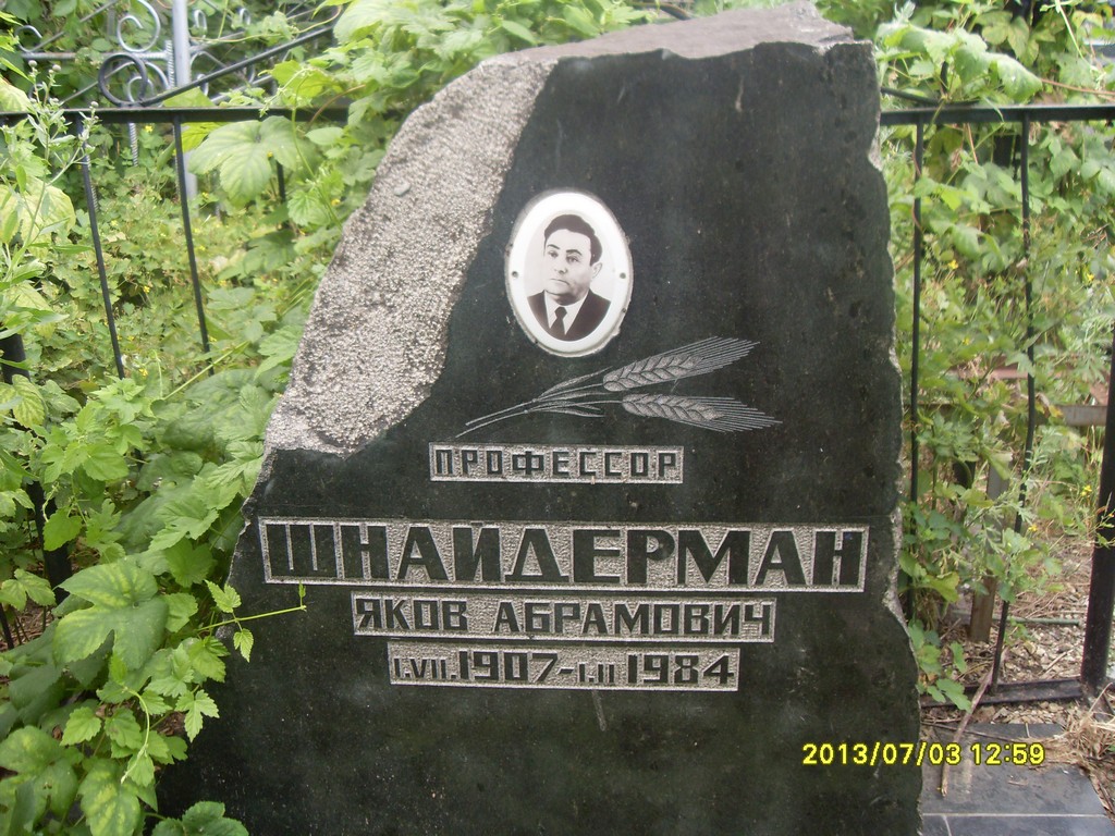Шнайдерман Яков Абрамович, Саратов, Еврейское кладбище