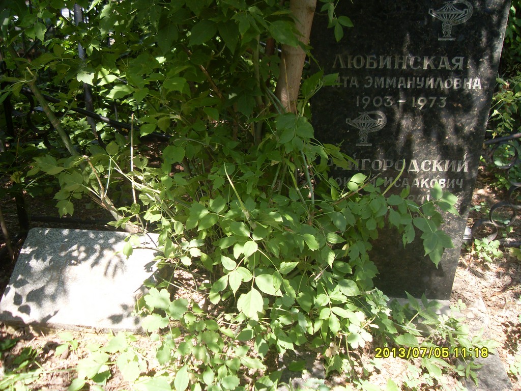 Любинская Рита Эммануиловна, Саратов, Еврейское кладбище