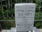 Юдович М. Э., Саратов, Еврейское кладбище