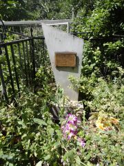 Демина Нина Самойловна, Саратов, Еврейское кладбище