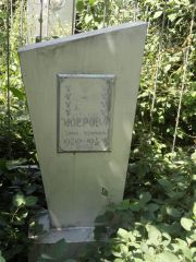 Шнейдерман С. Ю., Саратов, Еврейское кладбище