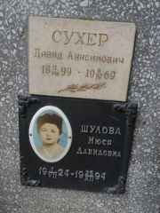 Дыскин Ефим Израилевич, Саратов, Еврейское кладбище
