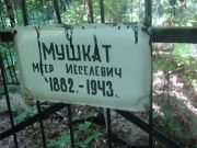Мушкат Меер Иёселевич, Саратов, Еврейское кладбище