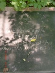 Лейнова Гнеся Вольфовна, Саратов, Еврейское кладбище
