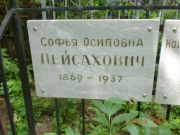 Пейсахович Софья Осиповна, Саратов, Еврейское кладбище