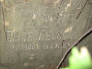 Бессель Леля , Саратов, Еврейское кладбище