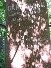 Вайнгольц Давид Ефимович, Саратов, Еврейское кладбище