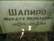 Шапиро Мордух Яковлевич, Саратов, Еврейское кладбище