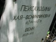 Пейсаходин Веня , Саратов, Еврейское кладбище