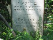 Брилон Лейба Ицкович, Саратов, Еврейское кладбище