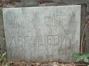 Авгушевич Иосиф Нохимович, Саратов, Еврейское кладбище