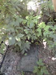Неизвестная могила , Саратов, Еврейское кладбище