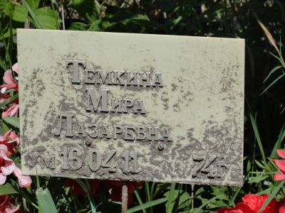 Темкина Мира Лазаревна