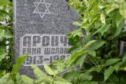 Арончик Еина Шоломович, Саратов, Еврейское кладбище