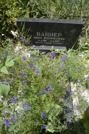 Вайнер Дина Иосифовна, Саратов, Еврейское кладбище