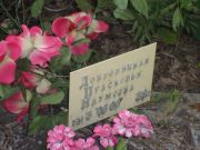 Добровицкая Прасковья Наумовна, Саратов, Еврейское кладбище