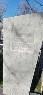 Шапиро Моисей Пейсакович, Ташкент, Европейско-еврейское кладбище