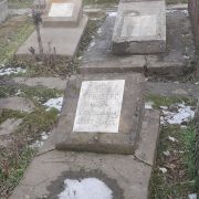 Гринберг Иосиф Григорьевич, Ташкент, Европейско-еврейское кладбище