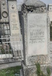 Шапиро Анатолий Моисеевич, Ташкент, Европейско-еврейское кладбище