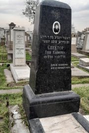 Спектор Геня Хаймовна, Ташкент, Европейско-еврейское кладбище