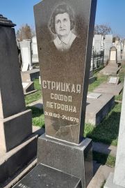Стрицкая Софья Петровна, Ташкент, Европейско-еврейское кладбище