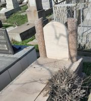 Сойфер Раиса Абрамовна, Ташкент, Европейско-еврейское кладбище