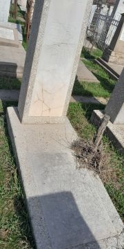 Флейшер Мендель Яковлевич, Ташкент, Европейско-еврейское кладбище