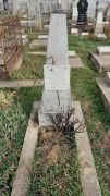 Шнайдер Юля Михайловна, Ташкент, Европейско-еврейское кладбище