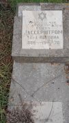 Вассершторм Хана Ицковна, Ташкент, Европейско-еврейское кладбище