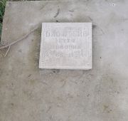 Блоштейн Гутя Львовна, Ташкент, Европейско-еврейское кладбище