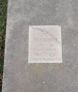 Темкина Любовь Моисеевна, Ташкент, Европейско-еврейское кладбище