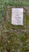Шенкер Ида Берковна, Ташкент, Европейско-еврейское кладбище