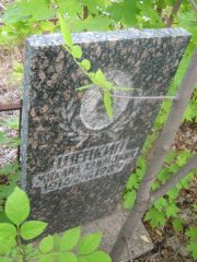 Шейнкин Михаил Хаимович, Уфа, Северное (Тимашевское) кладбище