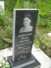 Андржейчик Полина Моисеевна, Уфа, Северное (Тимашевское) кладбище